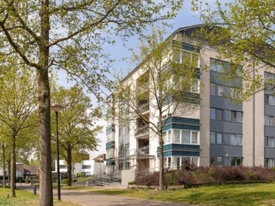 Bever in Amersfoort (79m2)