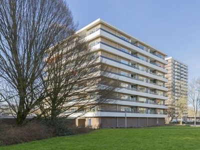 Donau in Amstelveen (55m2)