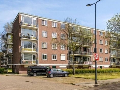 Maassingel in 's-Hertogenbosch (78m2)