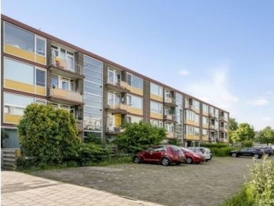 Spaarnestraat in Dordrecht (58m2)