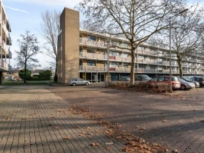 Valkhofplein in Arnhem (95m2)