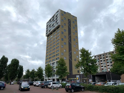 Wielewaalplein in Groningen (48m2)