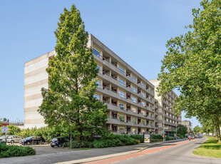 Appartement in Leiden met 2 kamers