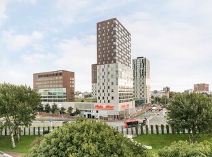 Galerijflat Buitenom, Zoetermeer huren?