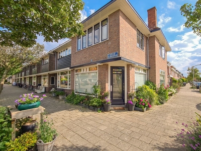 Karel van Manderstraat 61