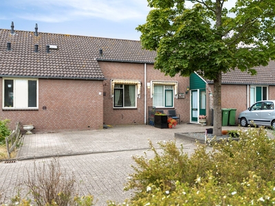 Zilverschoon 3