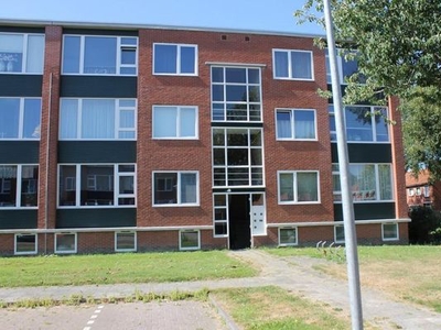 Iepenlaan in Winschoten (80m2)