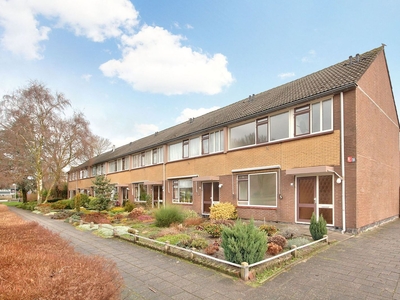 Wollegras in Kampen (121m2)