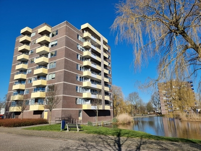 Madelief in Uithoorn (84m2)