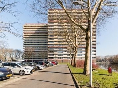 Oost Dorsch in Zaandam (84m2)