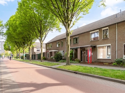 Zonnebloemstraat 10