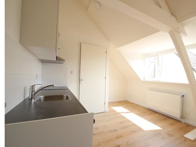 Huur 1 slaapkamer appartement van 20 m² in Utrecht