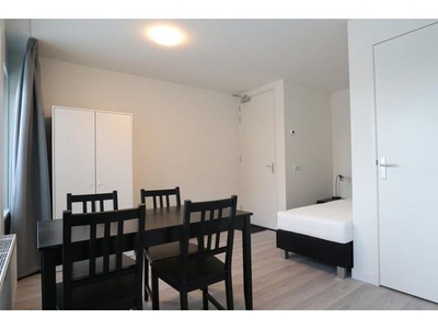 Huur 1 slaapkamer appartement van 21 m² in Eindhoven