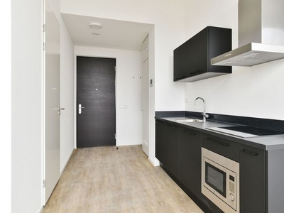 Huur 1 slaapkamer appartement van 26 m² in Arnhem