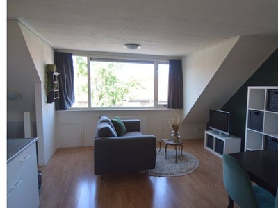 Huur 1 slaapkamer appartement van 28 m² in Breda