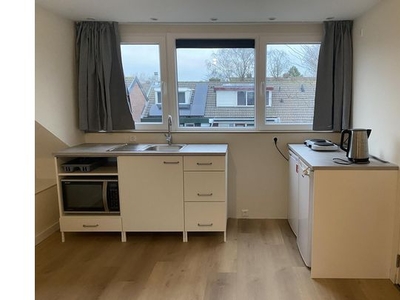 Huur 1 slaapkamer appartement van 30 m² in Haarlem