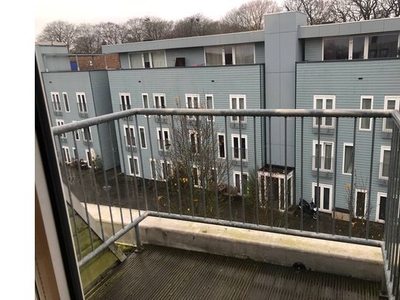 Huur 1 slaapkamer appartement van 32 m² in Tilburg