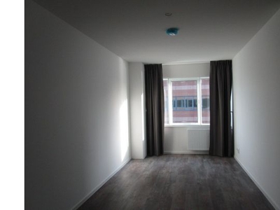 Huur 1 slaapkamer appartement van 45 m² in Maarssen