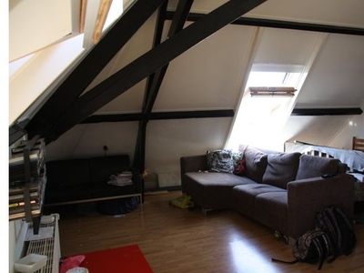 Huur 1 slaapkamer appartement van 49 m² in arnhem