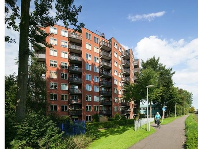 Huur 1 slaapkamer appartement van 56 m² in Rotterdam