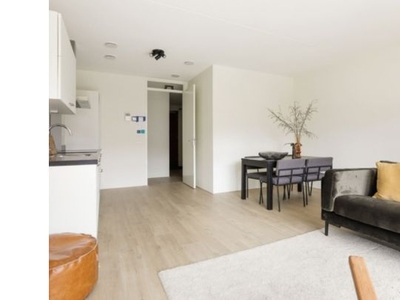 Huur 1 slaapkamer appartement van 65 m² in Amsterdam