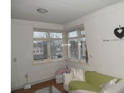 Huur 2 slaapkamer appartement van 44 m² in Den