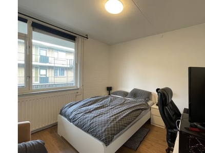 Huur 2 slaapkamer appartement van 54 m² in Arnhem