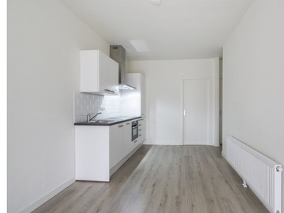 Huur 3 slaapkamer appartement van 55 m² in Rotterdam