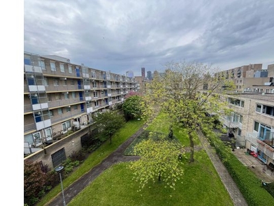 Huur 3 slaapkamer appartement van 61 m² in Rotterdam