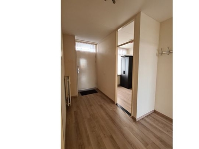 Huur 3 slaapkamer appartement van 78 m² in Rotterdam