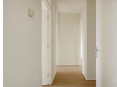 Huur 4 slaapkamer appartement van 94 m² in Delft