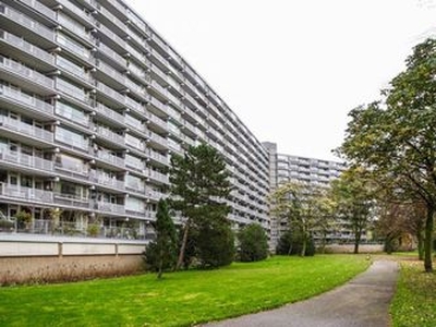 Huur 5 slaapkamer appartement van 102 m² in Schiedam