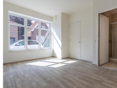 Kamer van 102 m² in Hulst