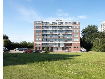 Kamer van 40 m² in Terneuzen