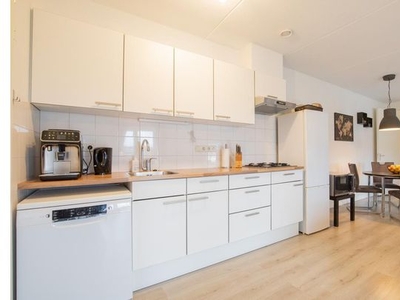 Kamer van 80 m² in Goes