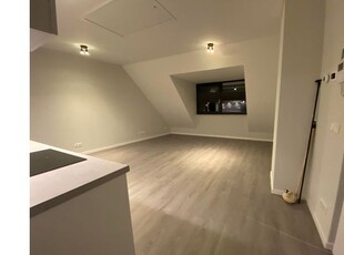 Huur 1 slaapkamer appartement van 40 m² in Eindhoven