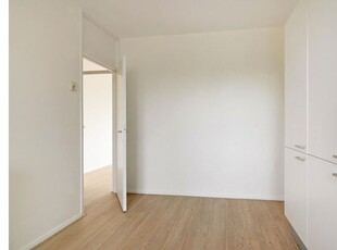 Huur 4 slaapkamer appartement van 94 m² in Delft