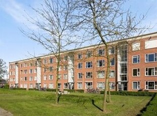 Appartement te huur in Den Bosch