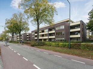 MVGM - Gereserveerd: Anemoonstraat 60, son en breugel