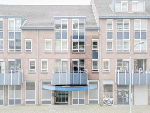 Puteanusstraat 65