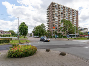 Wilgenplaslaan 290