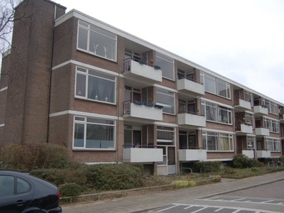 Appartement in Arnhem met 3 kamers