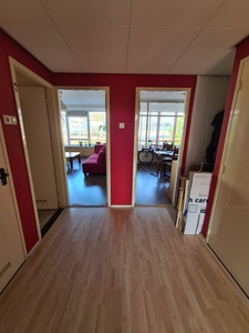 Appartement in Leiden met 3 kamers