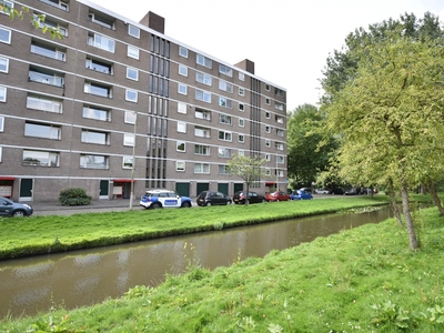 Appartement in Rotterdam met 3 kamers