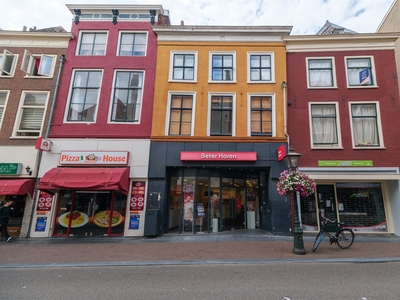 Breestraat 165 D