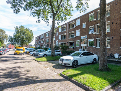 Frans Halsstraat 71