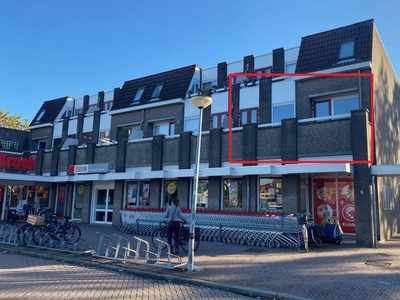 Hannie Schaftplein 206