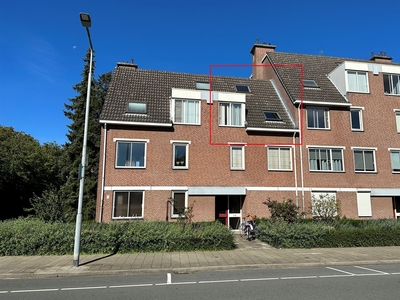 Hogeweg 9