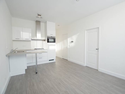 Appartement te huur Schiedamseweg, Rotterdam