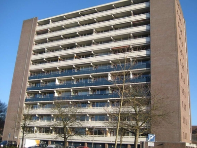 Brabantlaan 58